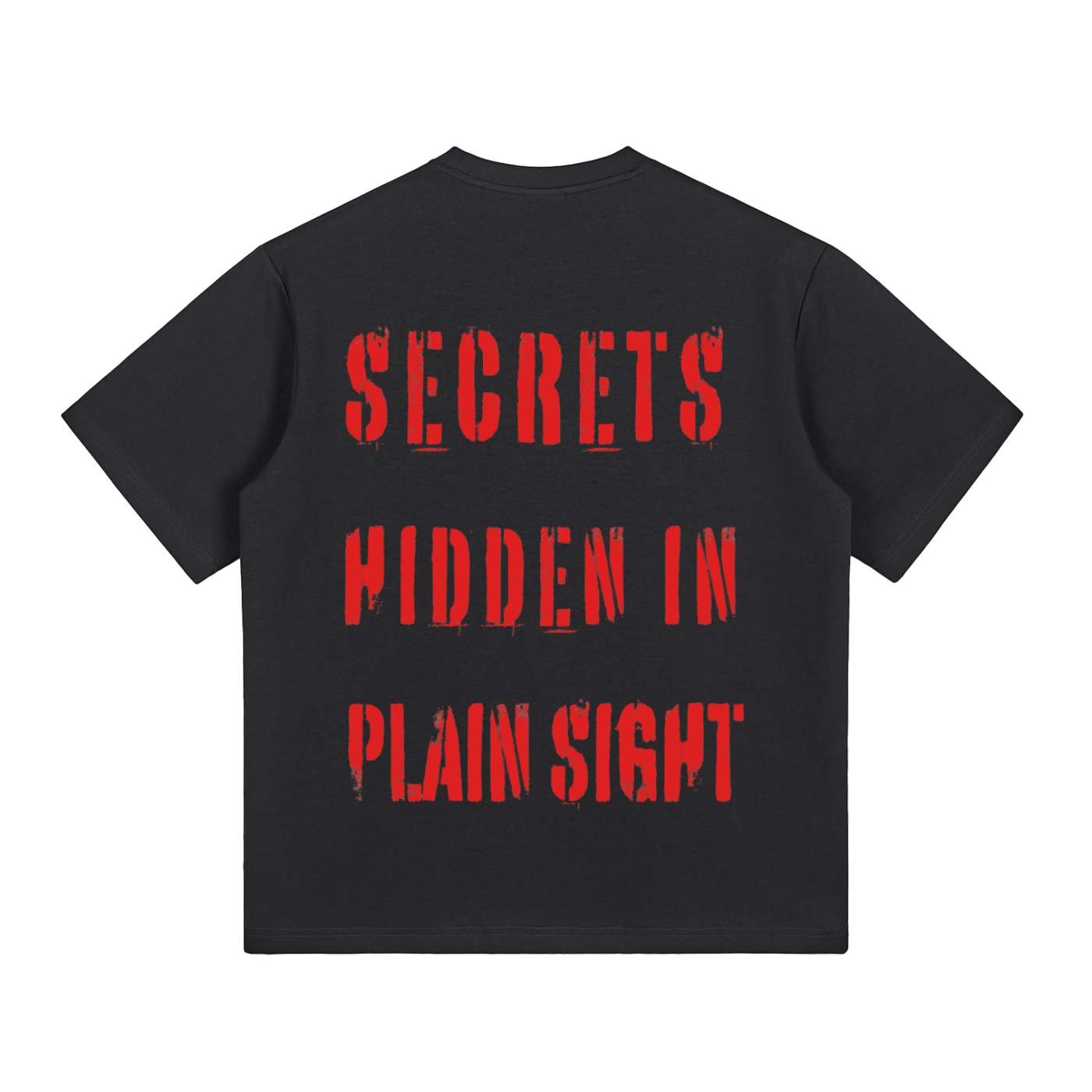 HIDDEN SECRETS GRAPHIC TEE